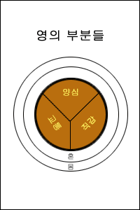 The Parts of the Spirit